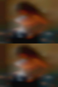 Manahawkin couple sex horny girl.